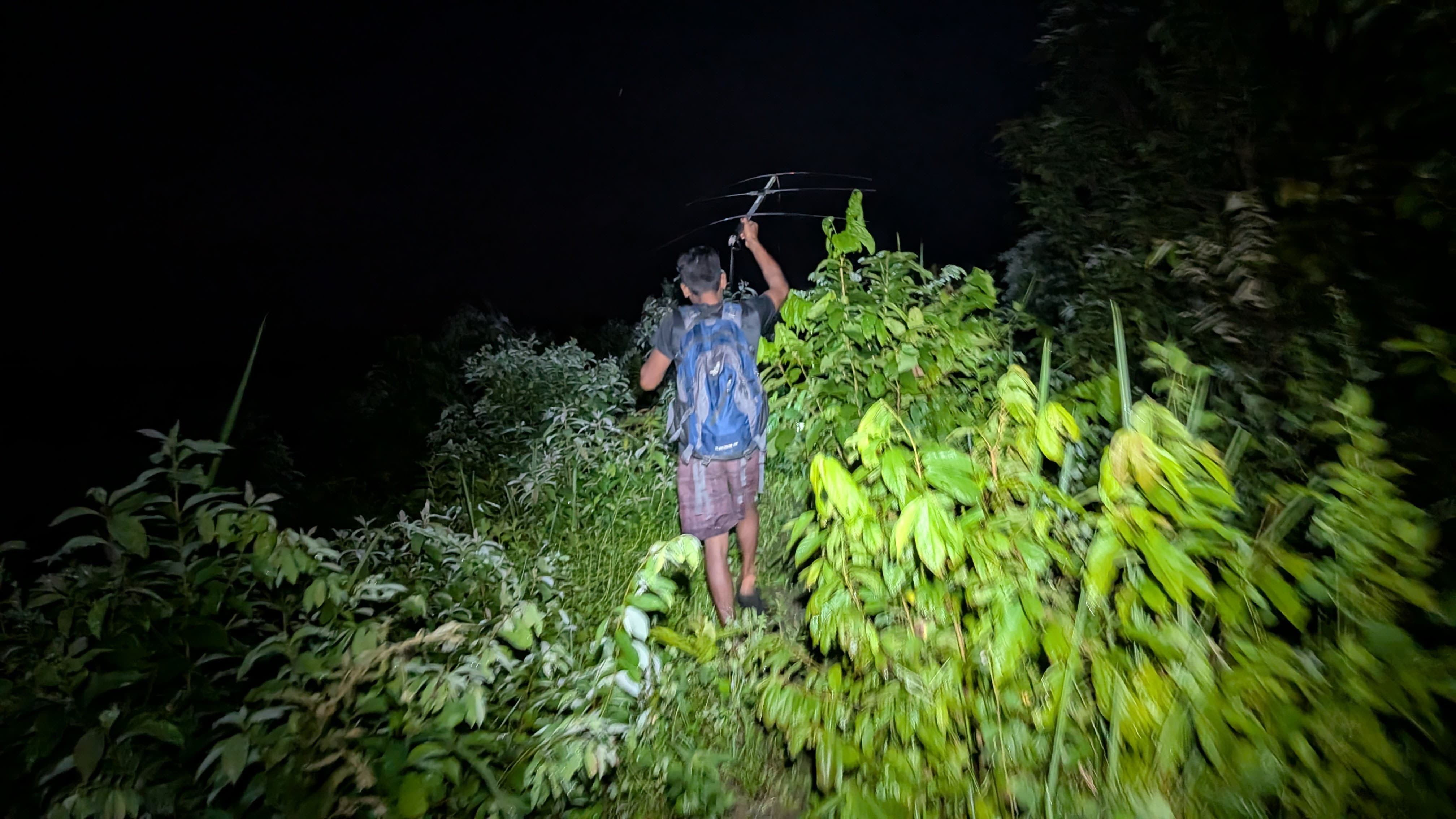 Night fieldwork in dense forest landscape