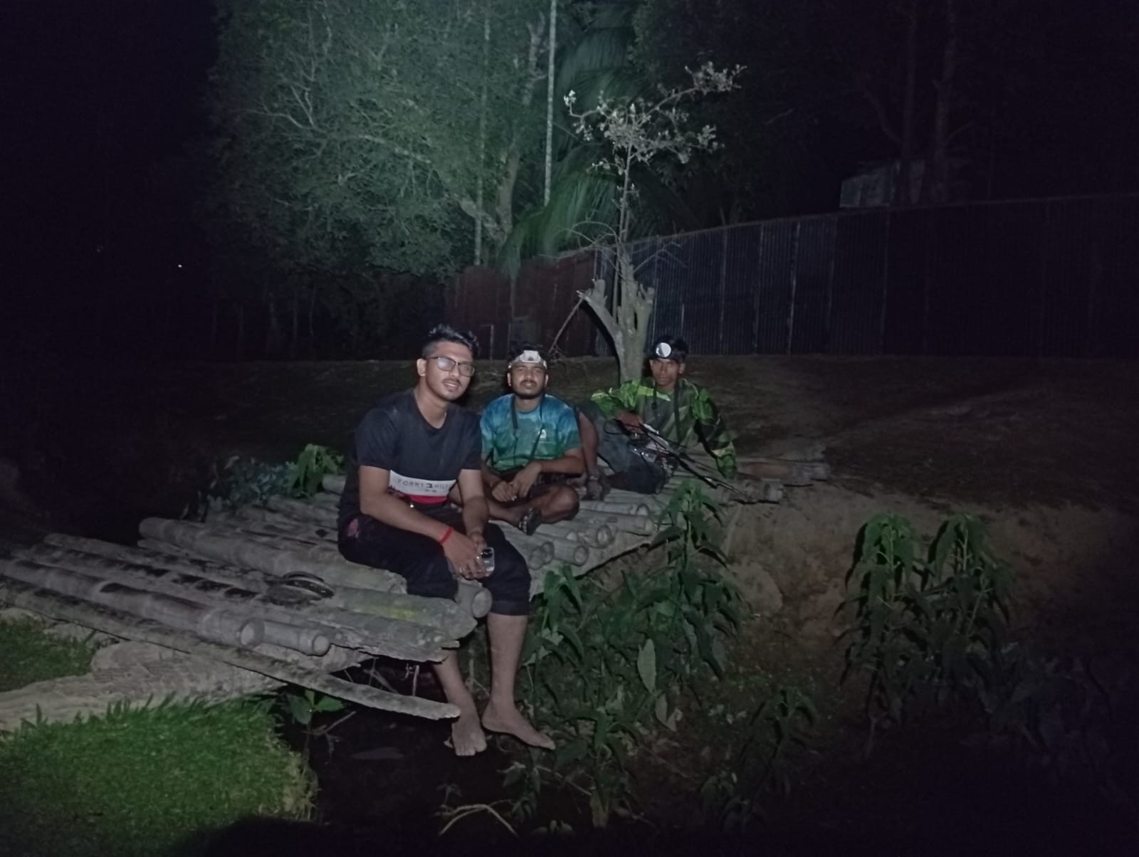Nocturnal Survey of Amphibians