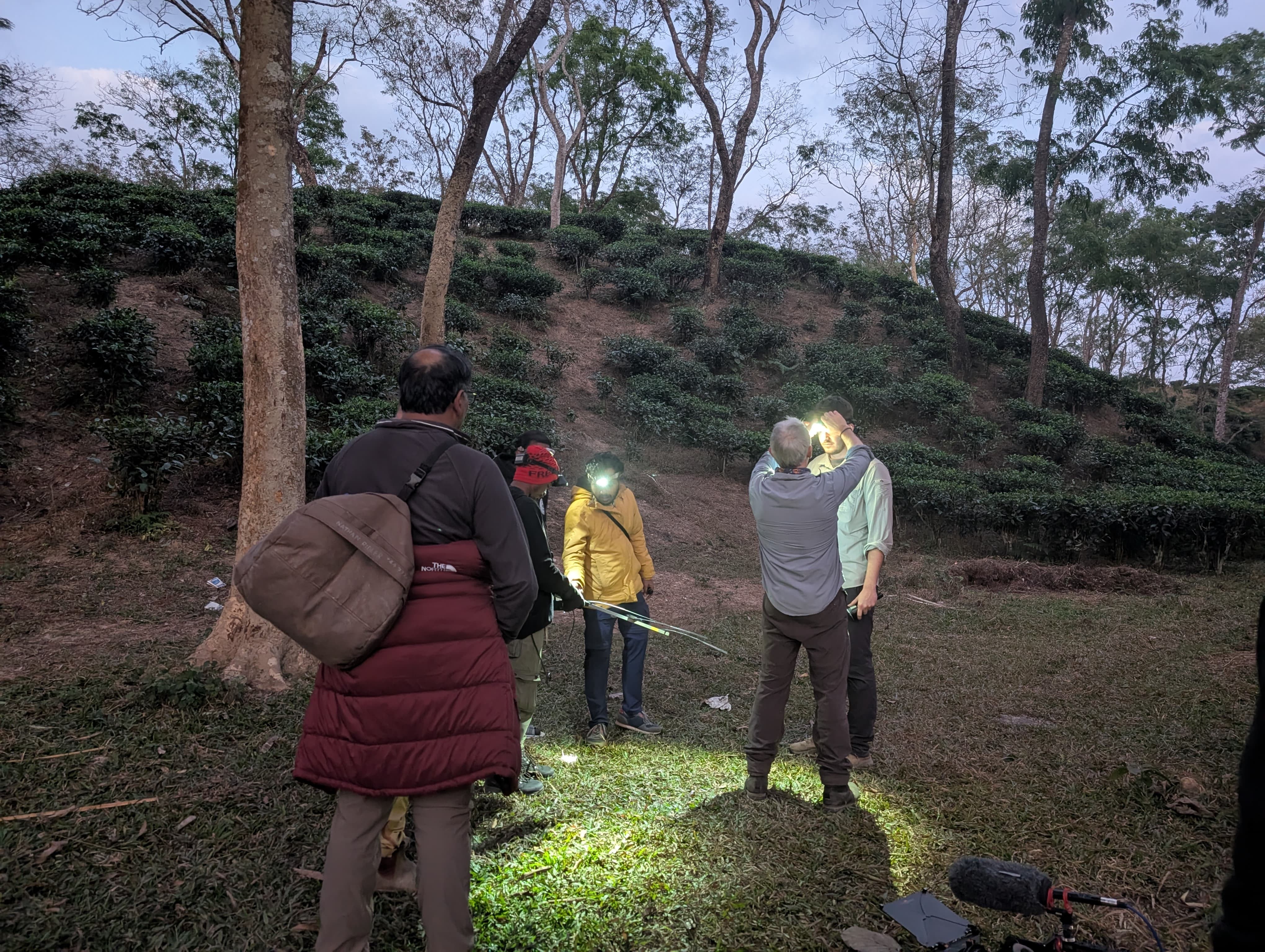 Nigel Marven Documents Slow Loris Conservation in Bangladesh: A Rare Field Interview from the Frontline