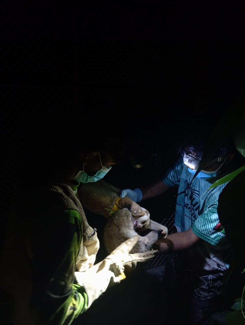 Support wildlife conservation in Bangladesh