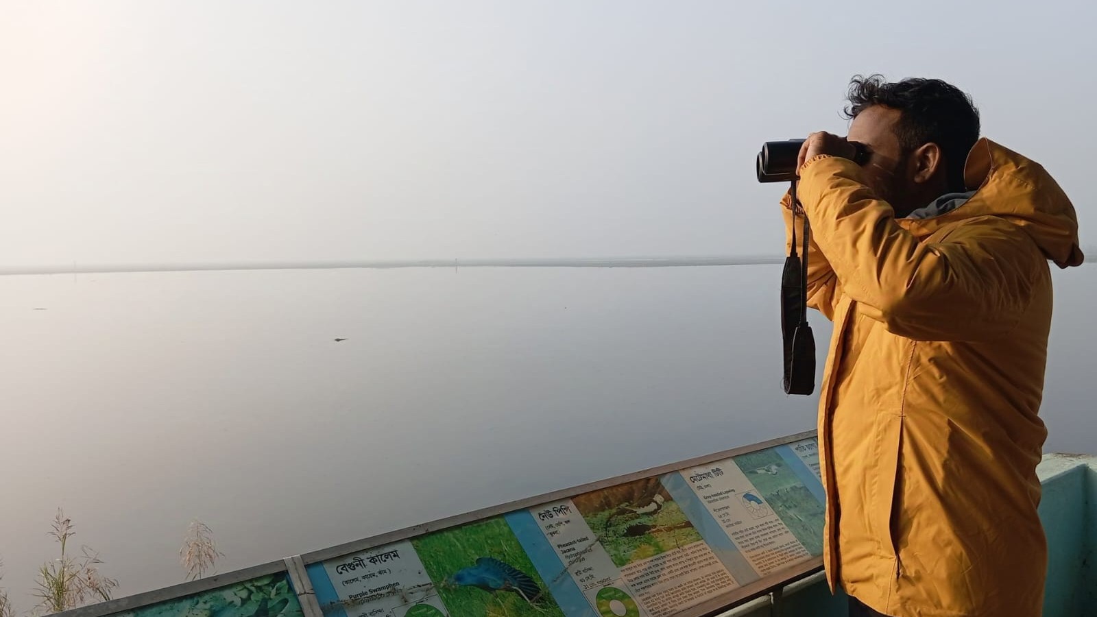 Wildlife observation fieldwork