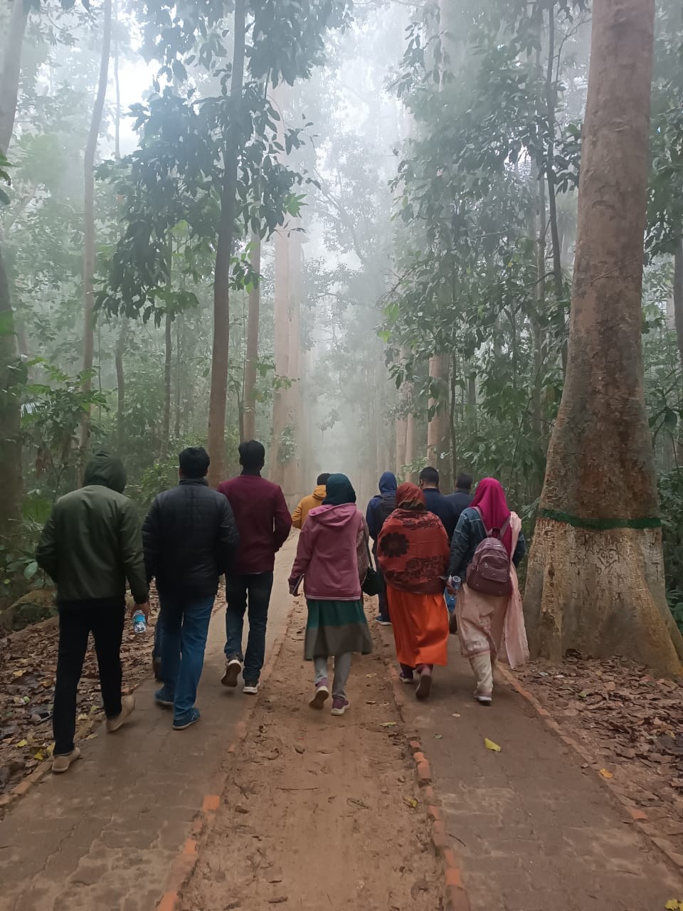 People walking through a forest in Bangladesh to support wildlife conservation and environmental awareness