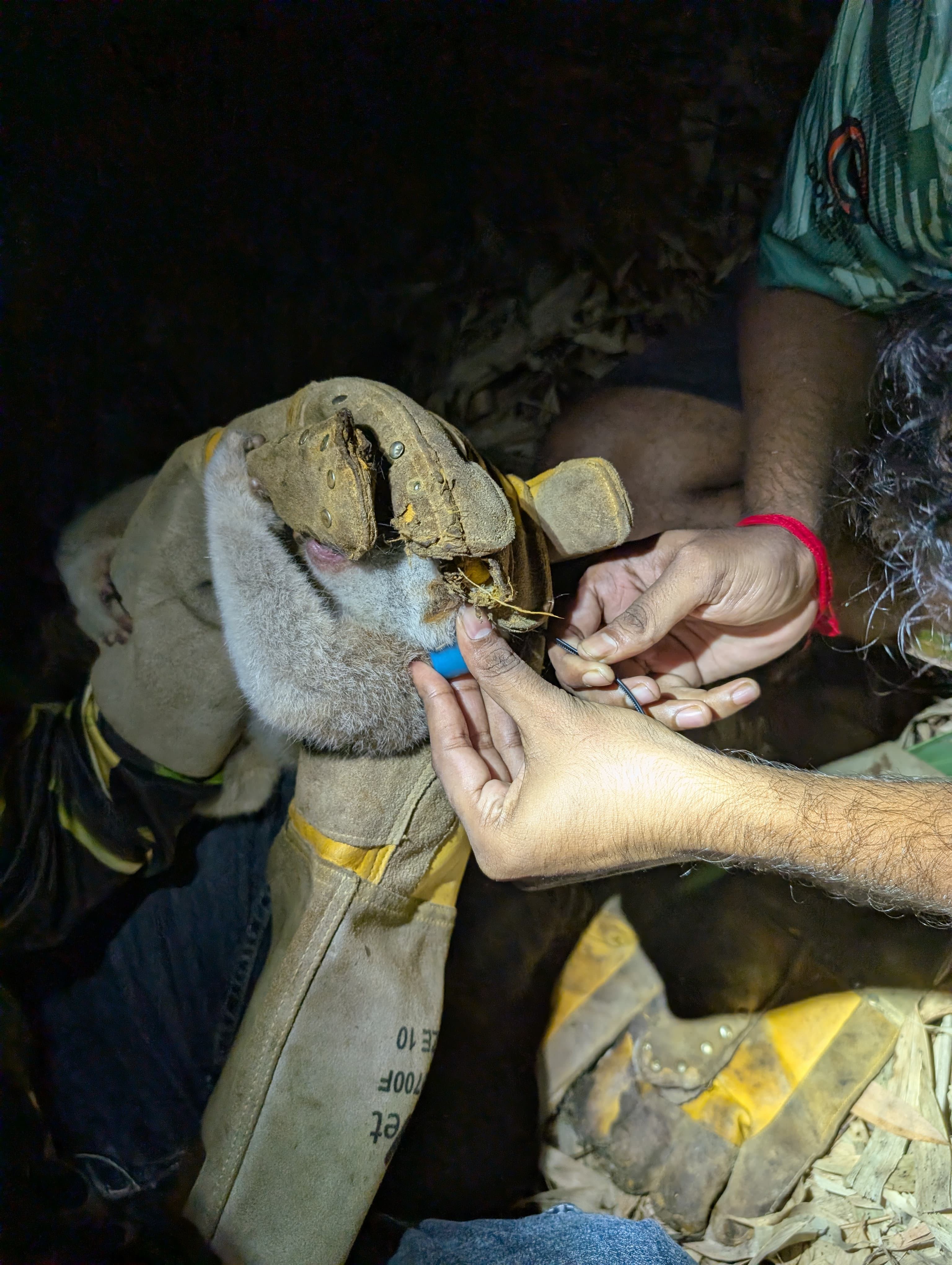 Field experience and conservation storytelling in Bangladesh