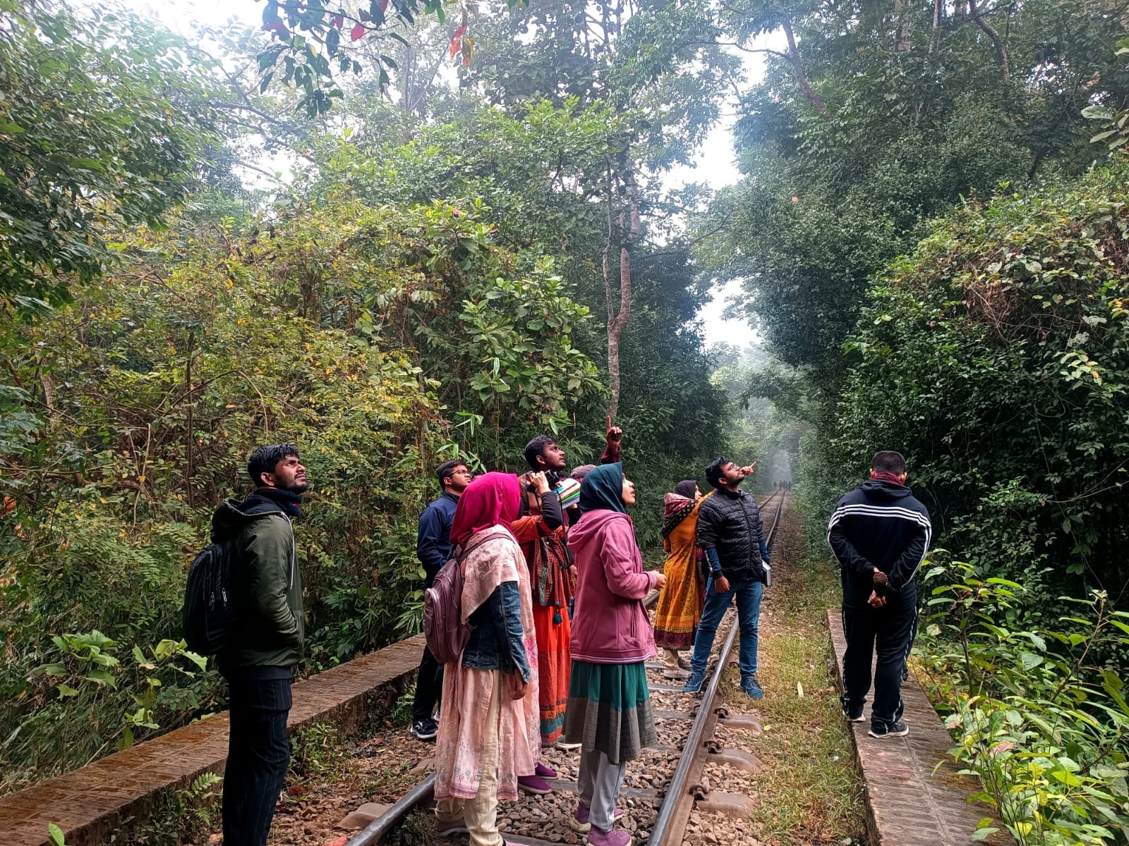 Field Study in Lawachara National Park: Exploring Mammal Diversity in Bangladesh’s Forest Ecosystem