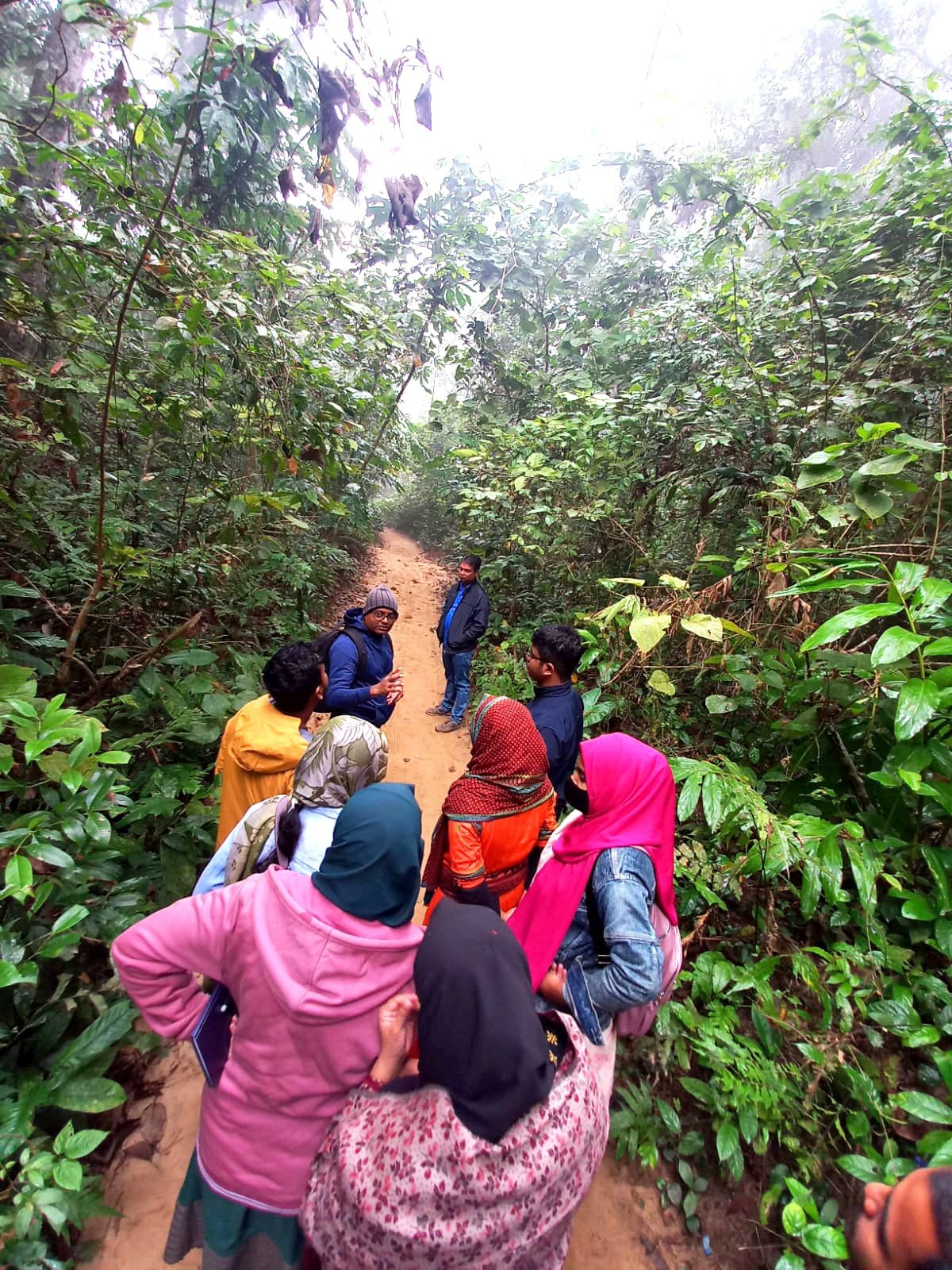 Learning Through Direct Observation