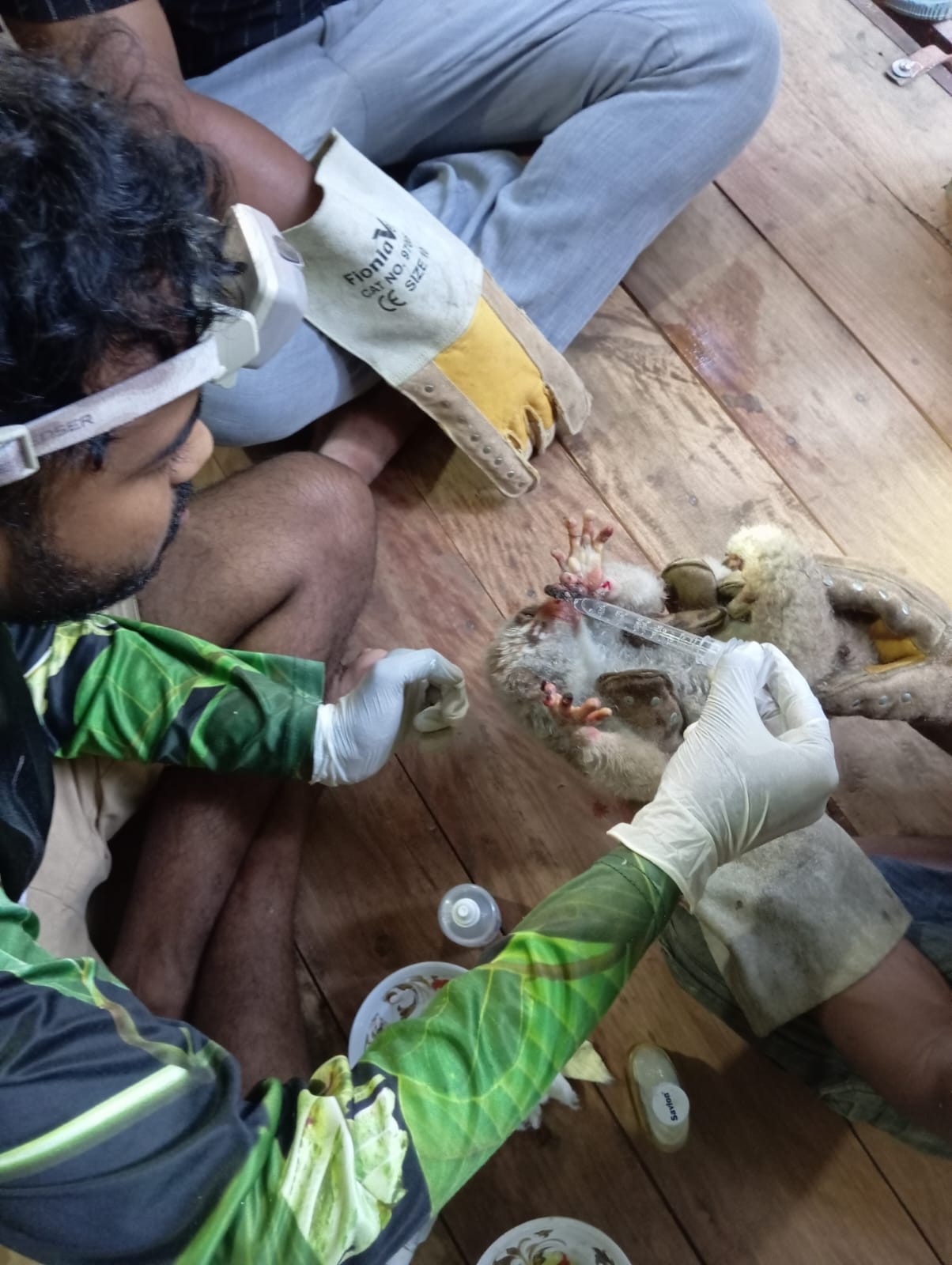 Emergency First Aid and Stabilization